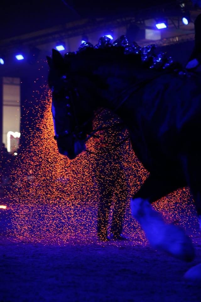 Hund und Pferd 2017 - Shire Horse Show